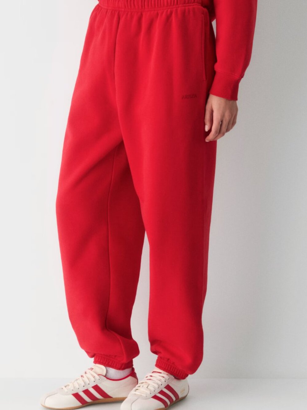 Aritzia Cozy Sweatfleece Mega Jogger